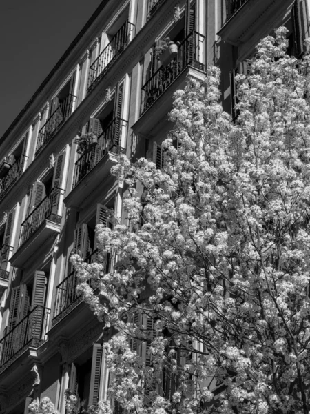Ville Madrid Espagne — Photo