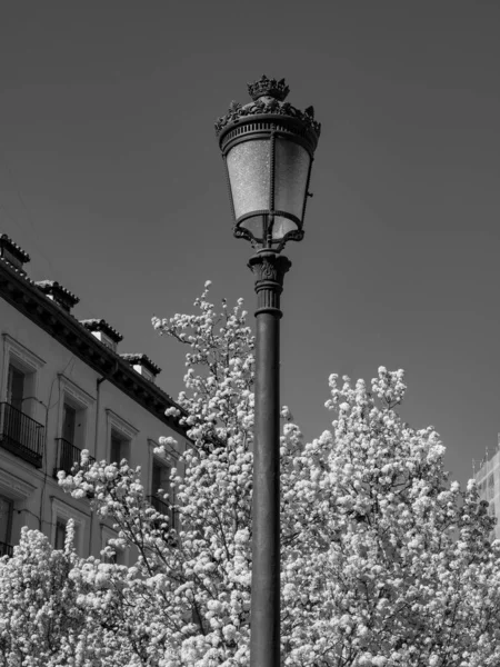 Ciudad Madrid España —  Fotos de Stock