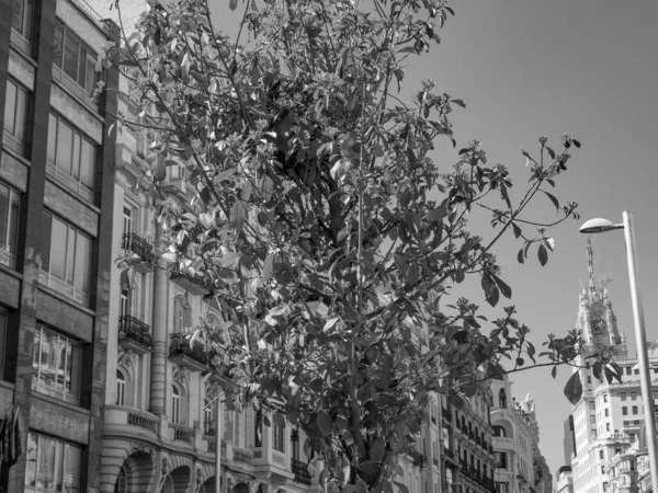 Cidade Madrid Espanha — Fotografia de Stock