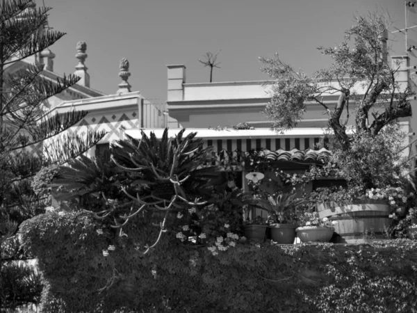 Palermo Sull Isola Siciliana — Foto Stock