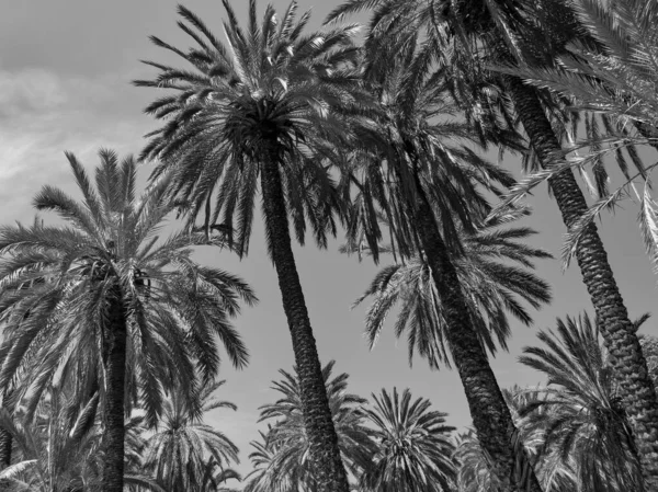 Palermo Sicilian Island — Stock Photo, Image