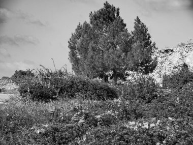 Tunus Tunus 'un başkenti 