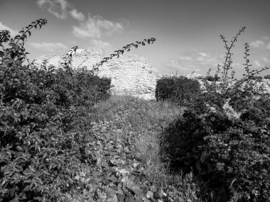 Tunus Tunus 'un başkenti 