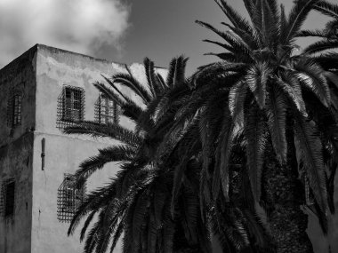 Tunus Tunus 'un başkenti 