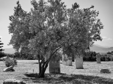 Tunus Tunus 'un başkenti 