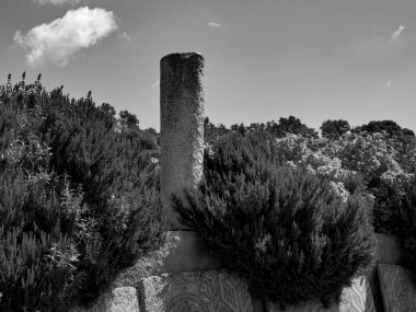 Tunus Tunus 'un başkenti