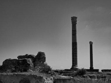 Tunus Tunus 'un başkenti