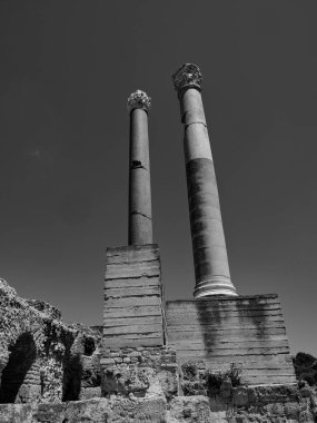 Tunus Tunus 'un başkenti