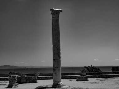 Tunus Tunus 'un başkenti