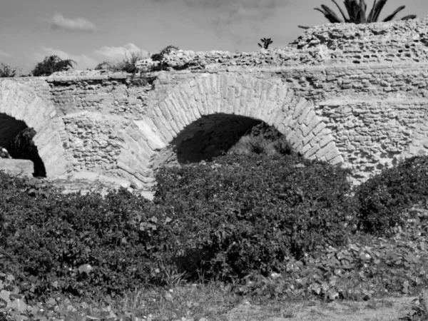 Tunis Huvudstad Tunisien — Stockfoto