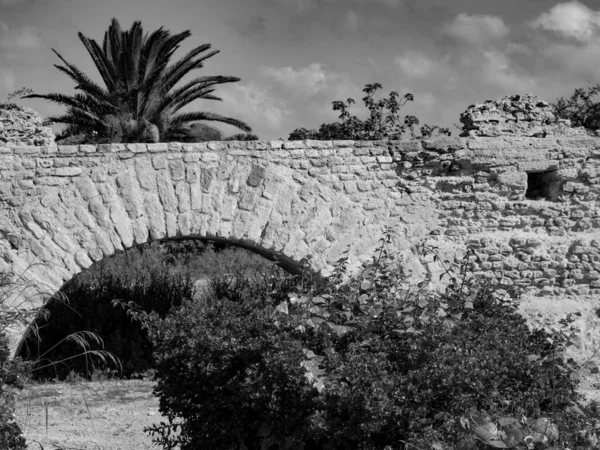 Tunis Hlavní Město Tuniska — Stock fotografie