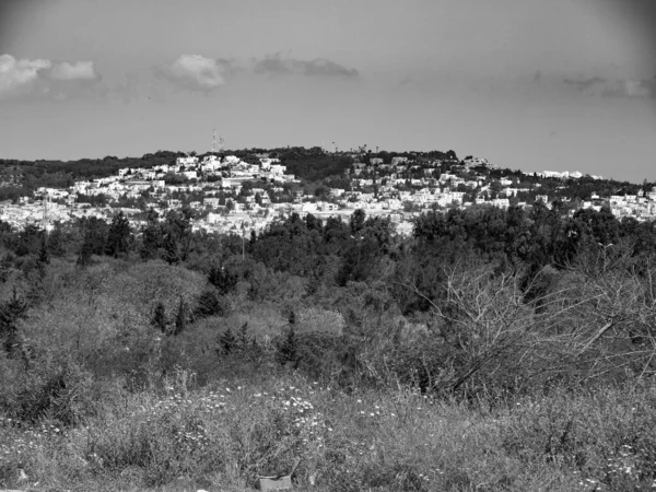Tunus Tunus 'un başkenti 