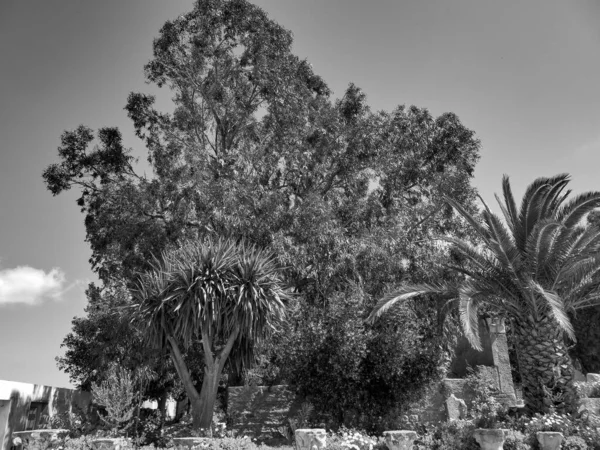 Tunis Capital City Tunisia — Stock Photo, Image