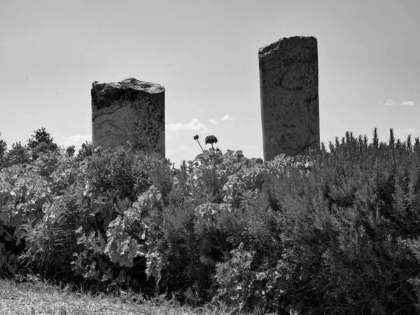 Tunis Hlavní Město Tunisisa — Stock fotografie