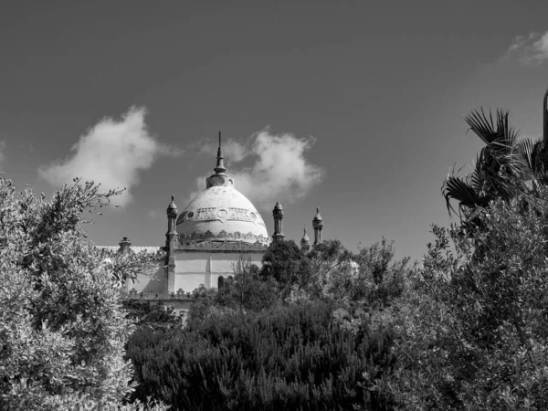 Tunis Hoofdstad Van Tunesië — Stockfoto