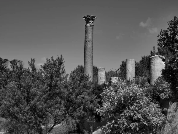 Tunis Stolica Tunisisa — Zdjęcie stockowe