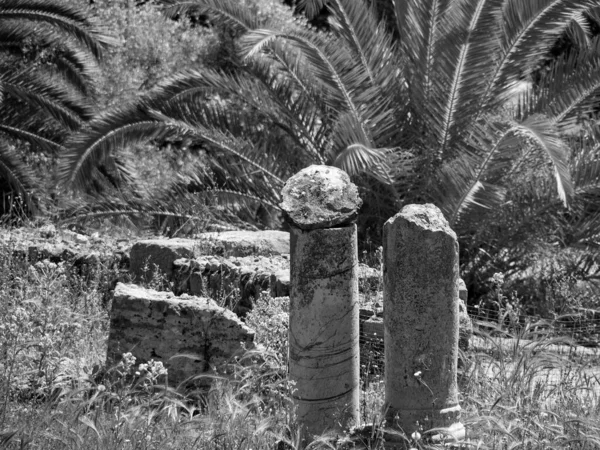 Tunis Die Hauptstadt Tunesiens — Stockfoto