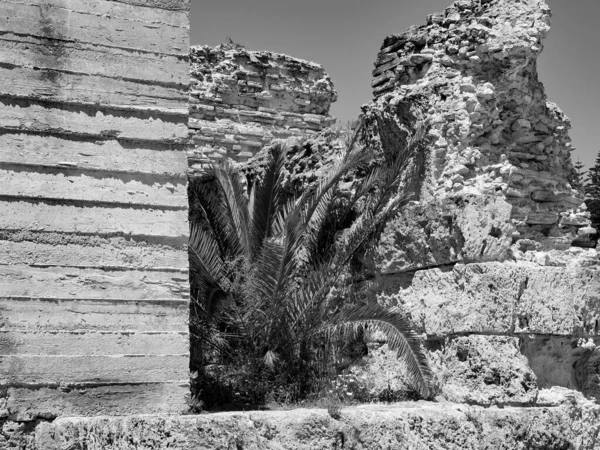 Túnez Capital Tunisisa — Foto de Stock