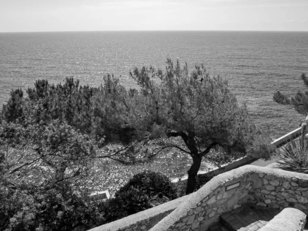 地中海のモナコ — ストック写真