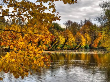 Alman Muensterland 'inde sonbahar zamanı