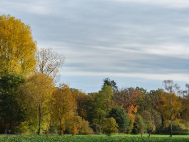 Alman Muensterland 'inde sonbahar zamanı
