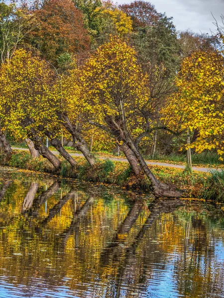 秋天在德国的Muensterland — 图库照片