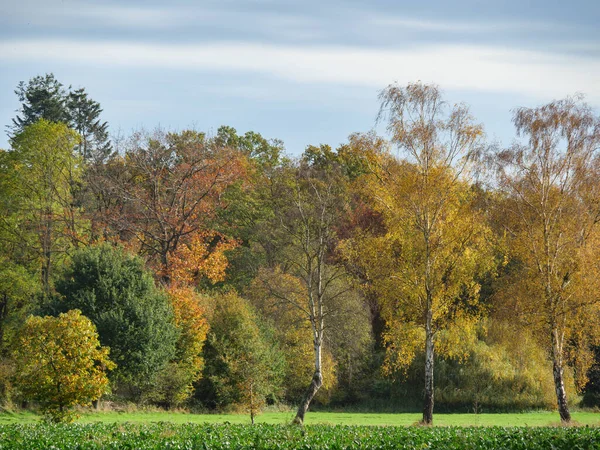Herbstzeit Münsterland — Stockfoto