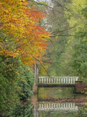 Alman Muensterland 'inde sonbahar zamanı