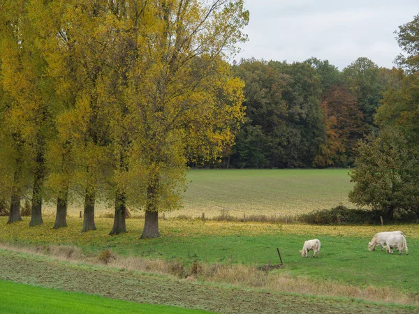 Осеннее Время Германии Muensterland — стоковое фото