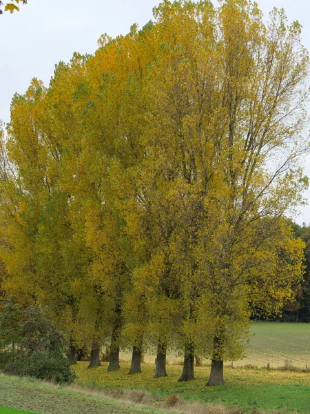 Herbstzeit Münsterland — Stockfoto