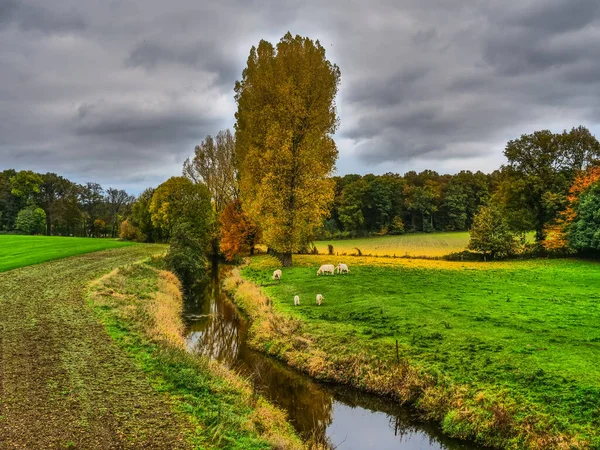 Autumn Time German Muensterland — Stock Photo, Image