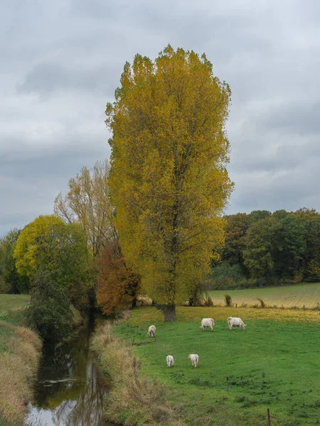 Herbstzeit Münsterland — Stockfoto