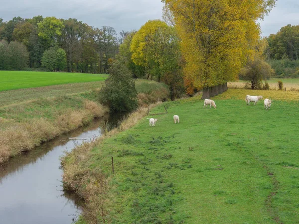 Hora Outono Muensterland Alemão — Fotografia de Stock