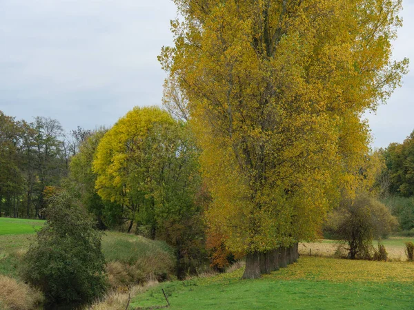 Autumn Time German Muensterland — Stock Photo, Image