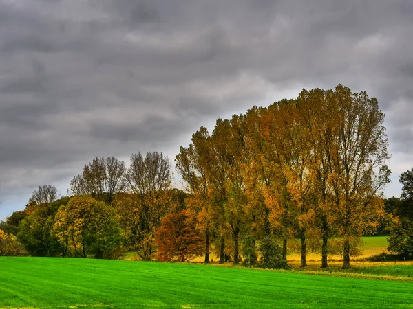 Осеннее Время Германии Muensterland — стоковое фото