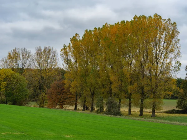 Alman Muensterland Inde Sonbahar Zamanı — Stok fotoğraf