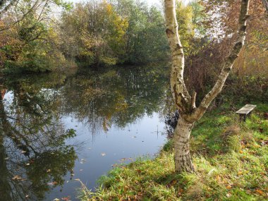 Legden yakınlarındaki Alman Muensterland 'inde sonbahar mevsimi