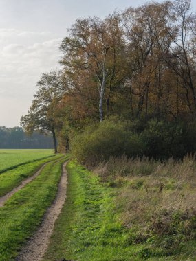 Alman Muensterland 'inde sonbahar zamanı