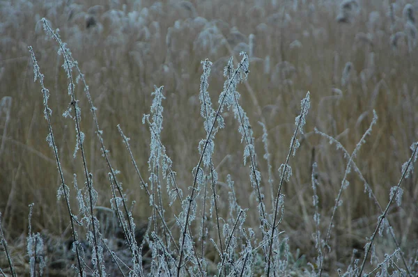 Winter Time Greetsiel North Sea — Stock Photo, Image