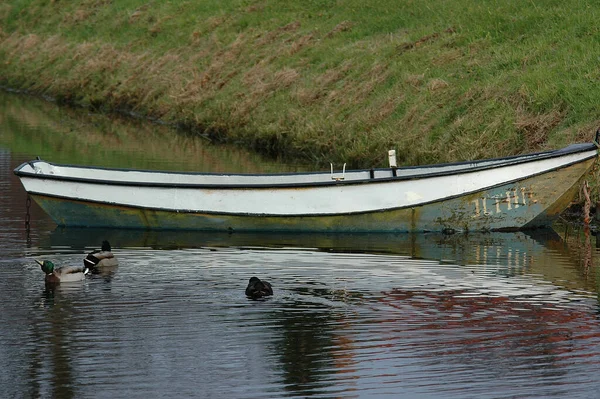 Östlig Frisia Tyskland Med Kvarnar Och Båtar — Stockfoto
