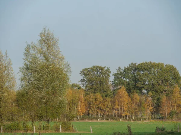 Herbstzeit Münsterland — Stockfoto