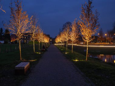 Almanya 'daki Raesfeld Kalesi' nde Noel zamanı.