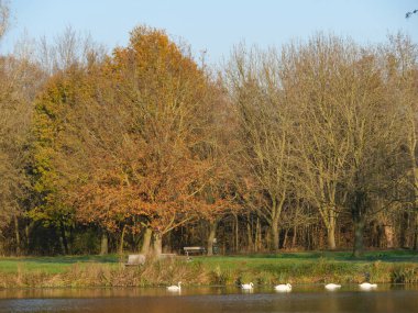 Almanya 'da bir gölde sonbahar zamanı