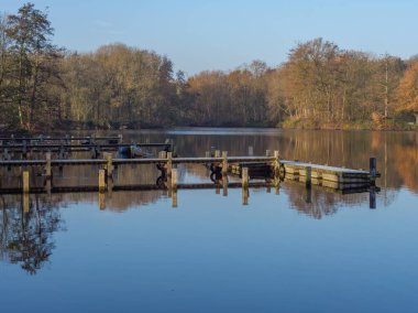 Almanya 'da bir gölde sonbahar zamanı