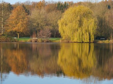 Almanya 'da bir gölde sonbahar zamanı