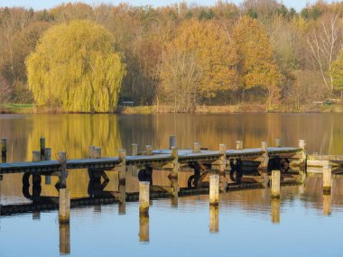 Almanya 'da bir gölde sonbahar zamanı