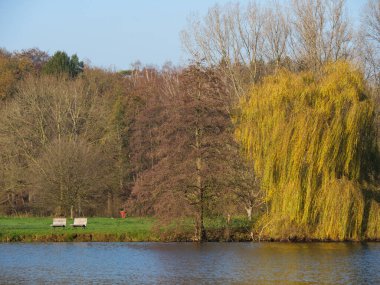 Almanya 'da bir gölde sonbahar zamanı