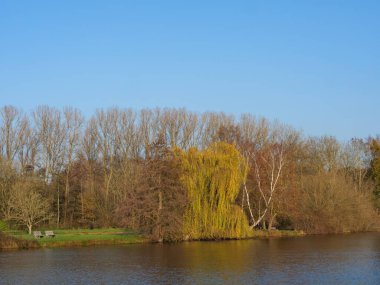Almanya 'da bir gölde sonbahar zamanı
