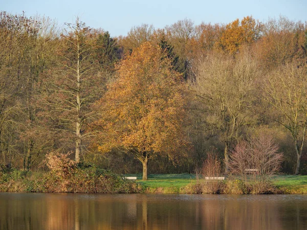 Herbstzeit Einem See Deutschland — Stockfoto