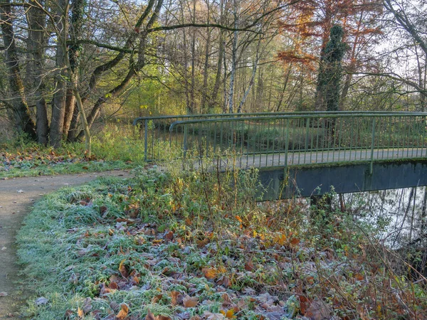 Осеннее Время Озере Германии — стоковое фото